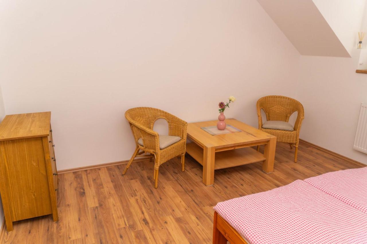 Apartment Tereza Podebrady